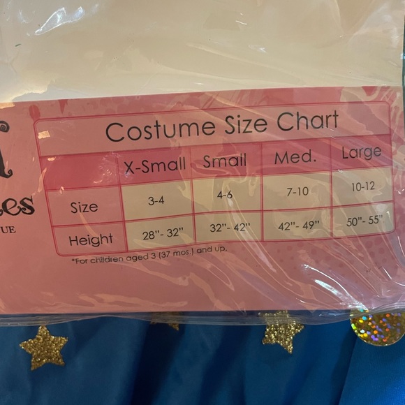 Gypsy Princess Costume - Picture 3 of 3